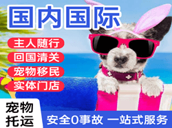 贡嘎机场托运国际宠物托运 【国